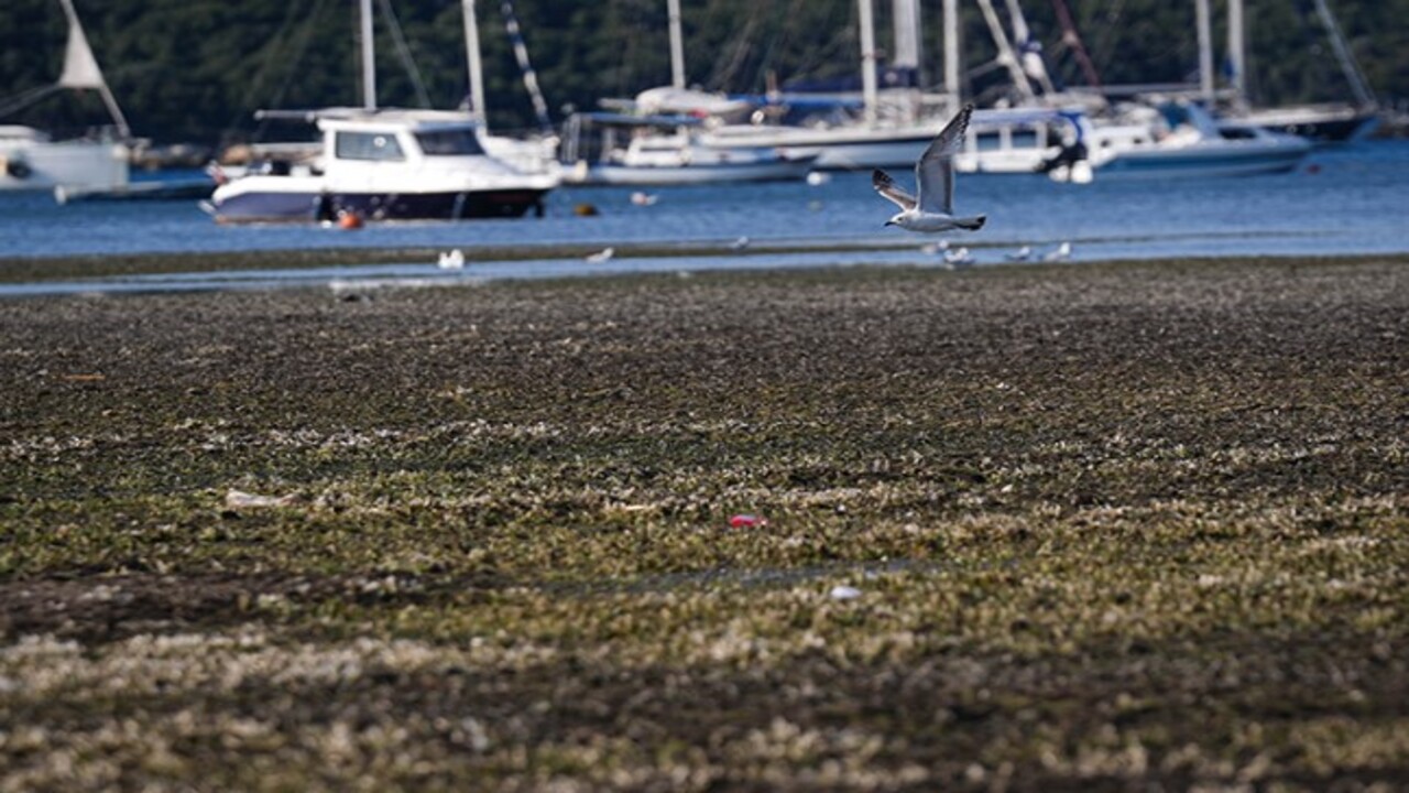 Foto - Denizde sır gibi geri çekilme! Değil balkanlar duyanlar bile ürküyor