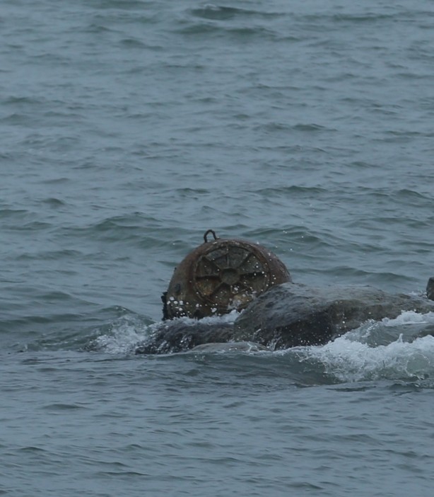 Foto - Denizde tespit edildi! Harekete geçildi