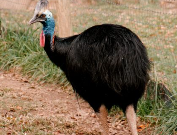 Foto - Denizden çıkan canlı herkesi dehşete düşürdü! Gören sağa sola kaçmaya başladı
