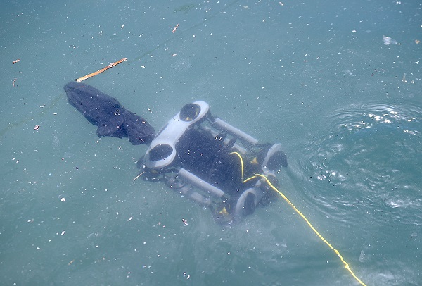 Foto - Denizden çıkanlar hayrete düşürdü