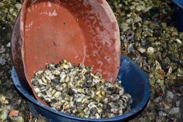 Foto - Denizden milyonlarca dolar çıktı! Resmen fışkırıyor... Güney Kore ve Çin, Türkiye'nin kapısını çaldı