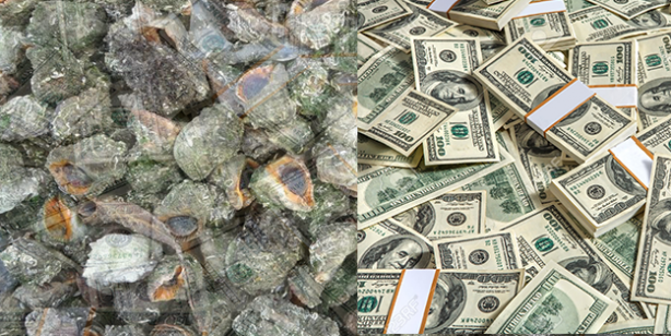 Denizden milyonlarca dolar çıktı! Resmen fışkırıyor... Güney Kore ve Çin, Türkiye'nin kapısını çaldı