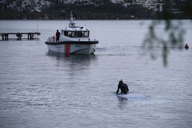Foto - Denize düşen araçtaki 1 kişi hayatını kaybetti, alkollü sürücü gözaltına alındı