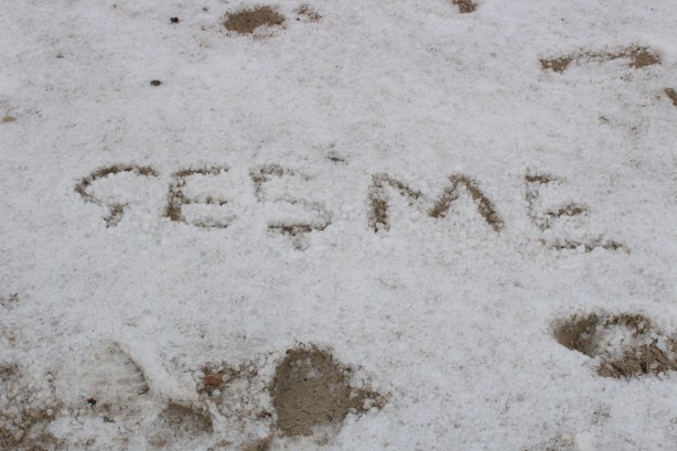Foto - Denize girdikleri ayda şoke eden manzara! İzmir'de plajlar beyaza büründü