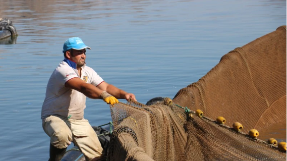 Foto - Denize kıyısı olmayan ilimizden balık fışkırıyor! Rusya ve Japonya o balıkların peşine düştü