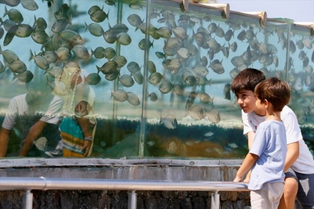 Foto - Denizi görmek isteyen adam evin çevresine akvaryum yaptı!