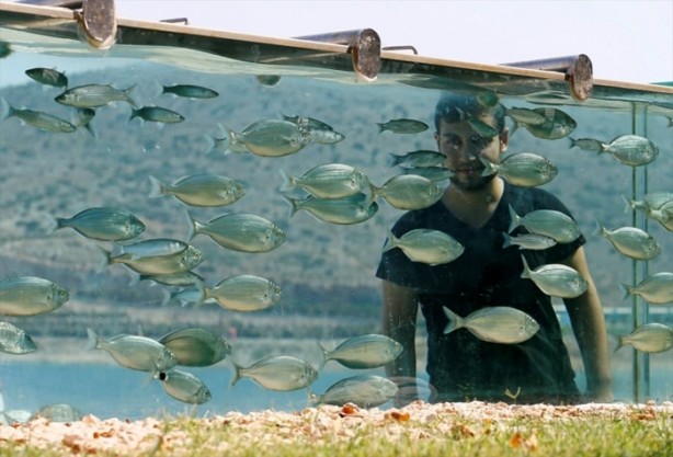 Foto - Denizi görmek isteyen adam evin çevresine akvaryum yaptı!