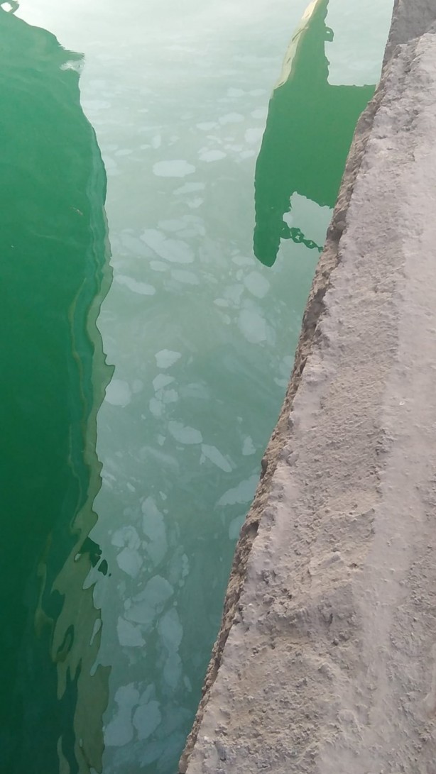 Foto - Denizi kirleten gemiye 1,5 milyon lira ceza