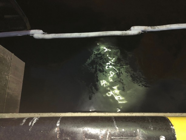 Foto - Denizi kirleten gemiye rekor ceza!