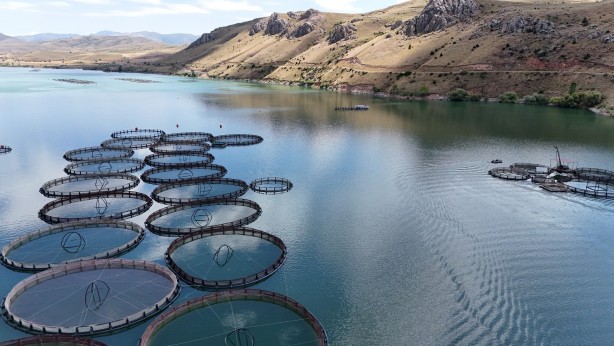 Foto - Denizi olmayan Erzincan'da üretilen balıklar Trabzon ve Elâzığ'a sevk ediliyor