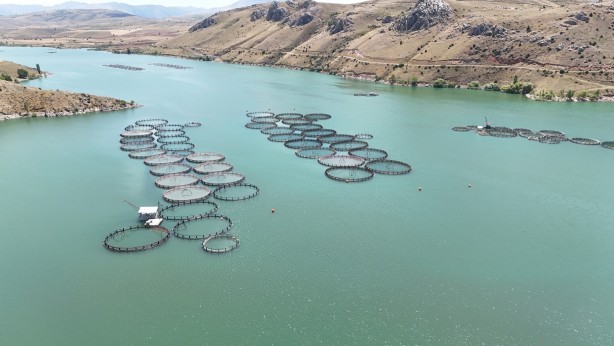 Foto - Denizi olmayan Erzincan'da üretilen balıklar Trabzon ve Elâzığ'a sevk ediliyor
