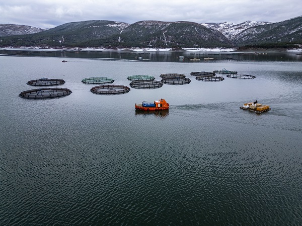 Foto - Denizi olmayan il, dünyaya somon ihraç ediyor