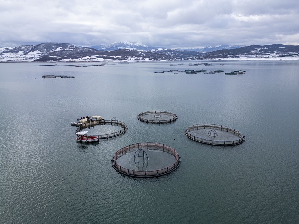 Foto - Denizi olmayan il, dünyaya somon ihraç ediyor