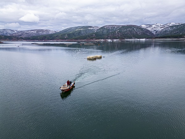 Foto - Denizi olmayan il, dünyaya somon ihraç ediyor