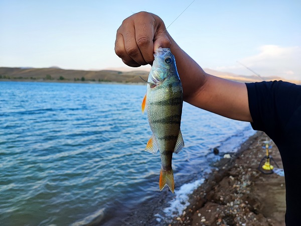 Denizi olmayan ilde oltasını alan balığa gidiyor