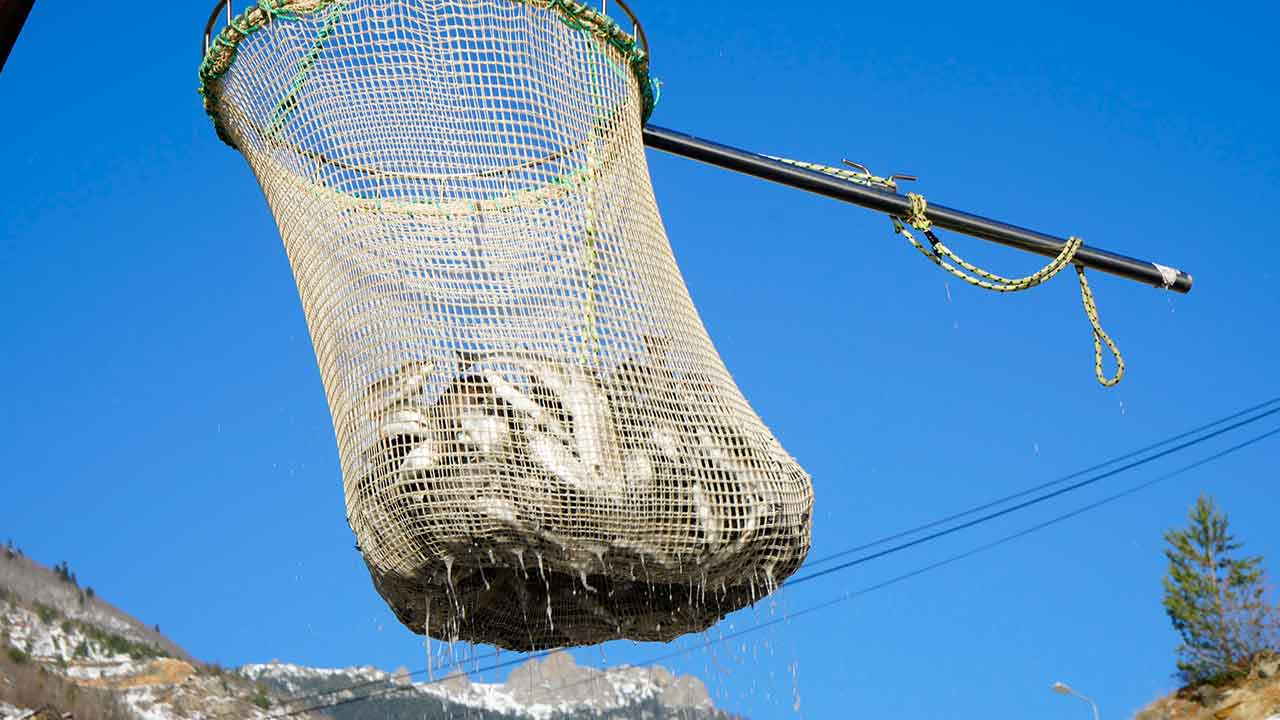 Foto - Denizi olmayan kentten fışkırıyor! Rusya, Çin, Şili, Japonya ve BAE peşine düştü