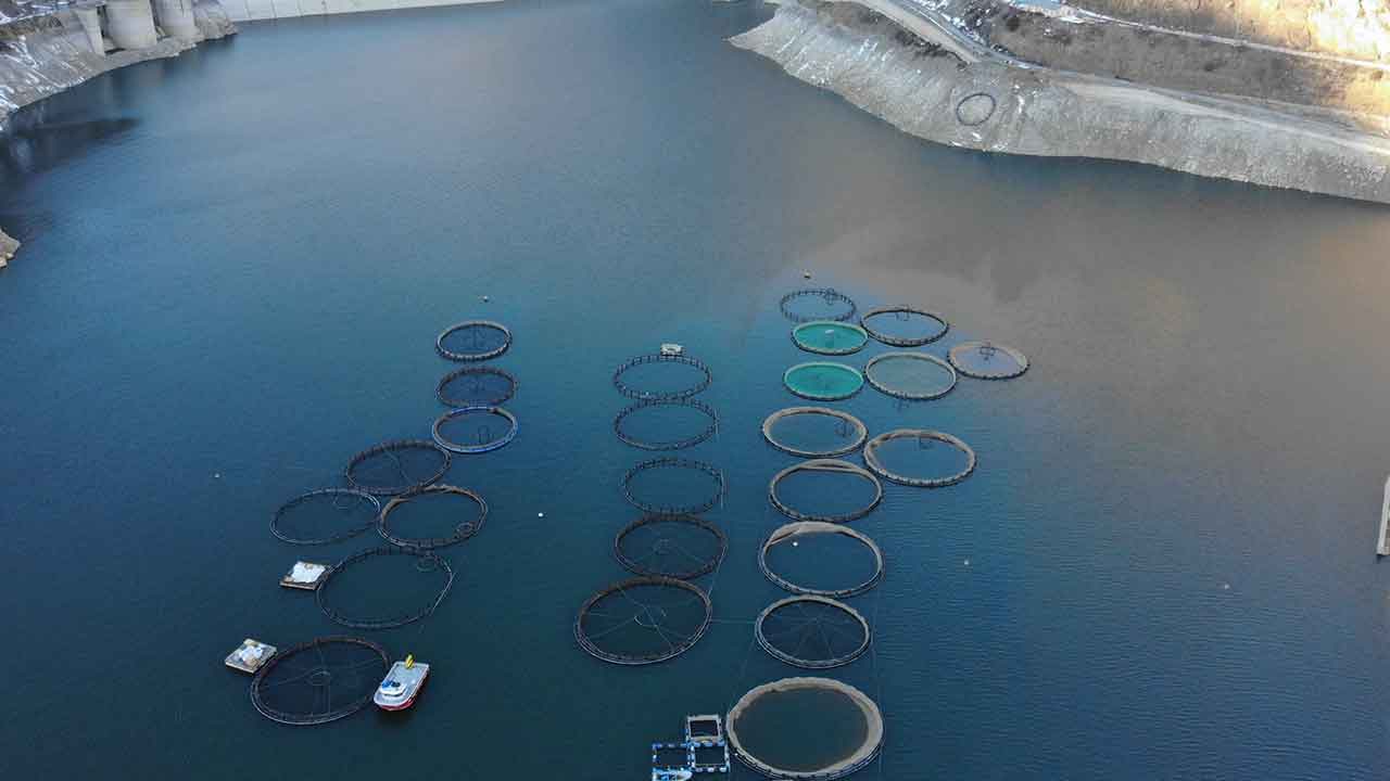 Foto - Denizi olmayan kentten fışkırıyor! Rusya, Çin, Şili, Japonya ve BAE peşine düştü