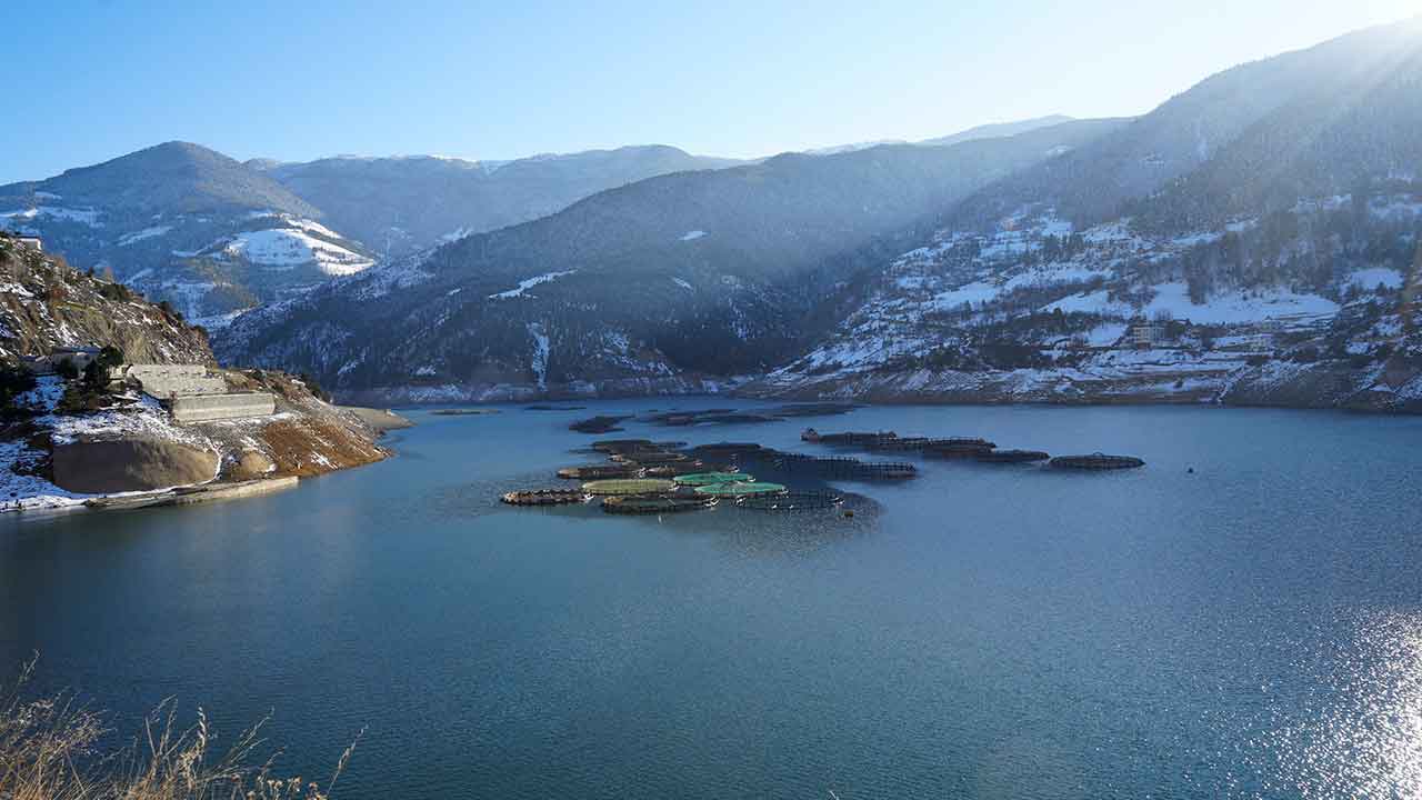 Foto - Denizi olmayan kentten fışkırıyor! Rusya, Çin, Şili, Japonya ve BAE peşine düştü