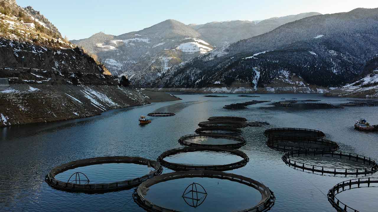 Foto - Denizi olmayan kentten fışkırıyor! Rusya, Çin, Şili, Japonya ve BAE peşine düştü