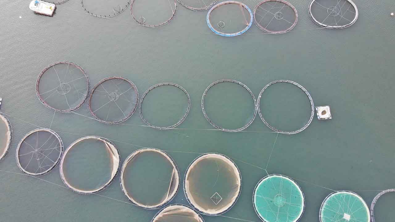 Foto - Denizi olmayan kentten fışkırıyor! Rusya, Çin, Şili, Japonya ve BAE peşine düştü