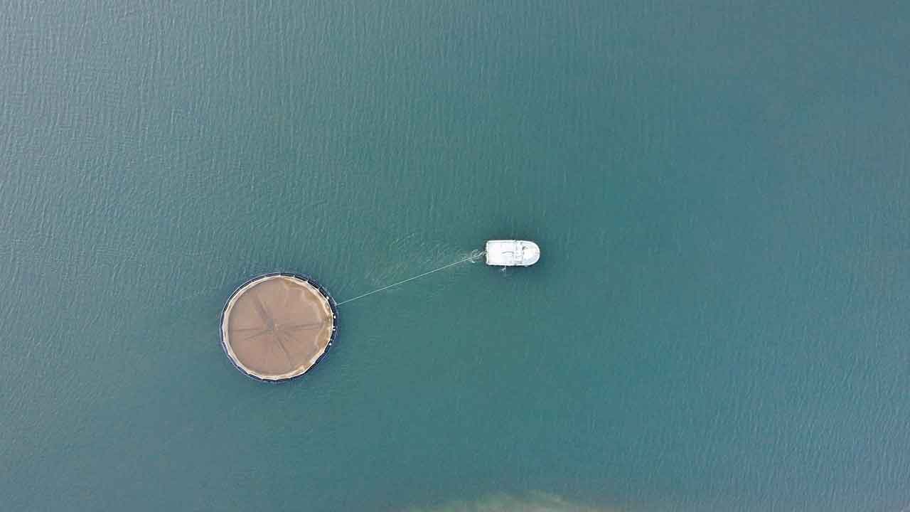 Denizi olmayan kentten fışkırıyor! Rusya, Çin, Şili, Japonya ve BAE peşine düştü