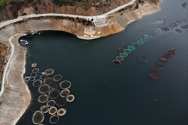 Foto - Denizi olmayan şehirden dünyaya ihraç ediliyor