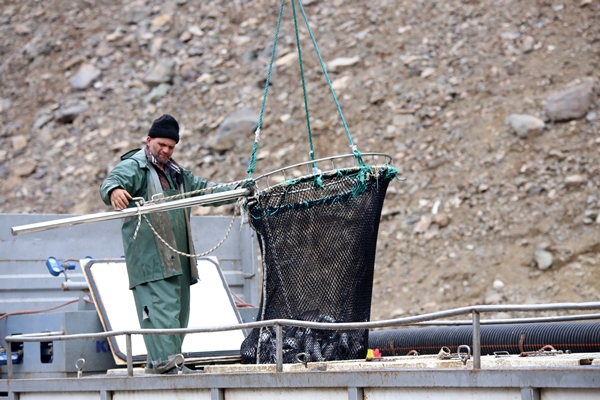 Foto - Denizi olmayan şehirden dünyaya ihraç ediliyor
