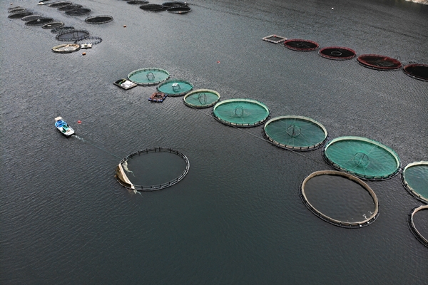 Foto - Denizi olmayan şehirden dünyaya ihraç ediliyor