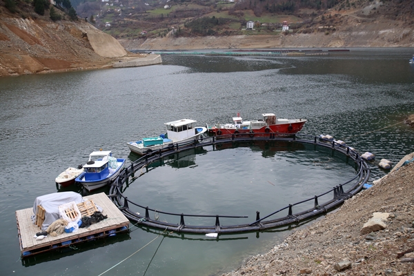 Foto - Denizi olmayan şehirden dünyaya ihraç ediliyor