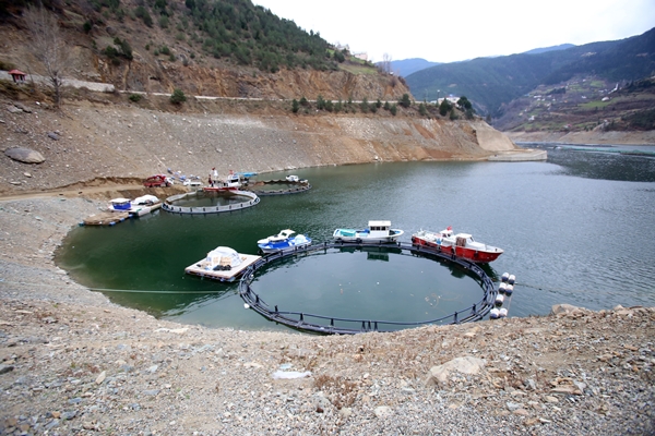 Foto - Denizi olmayan şehirden dünyaya ihraç ediliyor