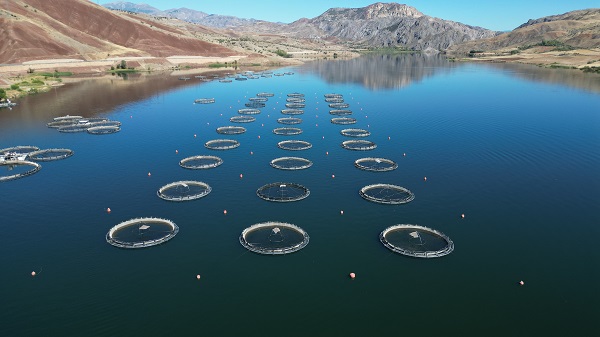 Foto - Denizi olmayan şehrin balıkları yola çıkıyor