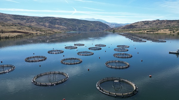 Foto - Denizi olmayan şehrin balıkları yola çıkıyor