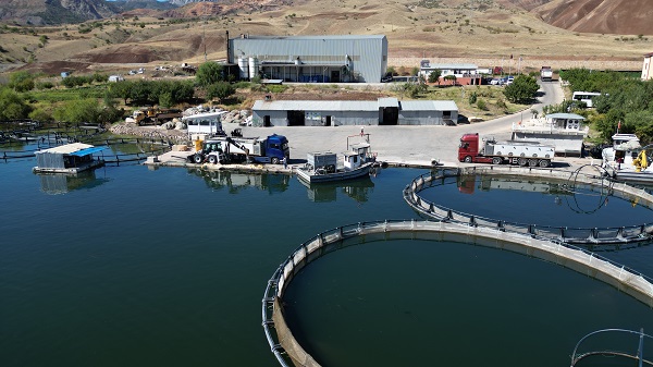 Foto - Denizi olmayan şehrin balıkları yola çıkıyor