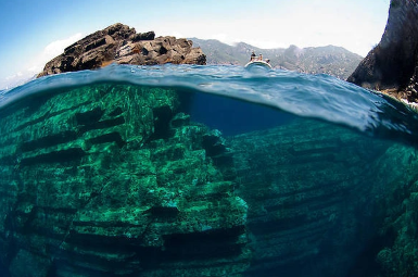 Foto - Denizin 2 bin 400 metre altından çıktı! Olağandışı keşif dünyayı şoka soktu