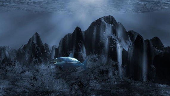 Foto - Denizin 2 bin 400 metre altından çıktı! Olağandışı keşif dünyayı şoka soktu