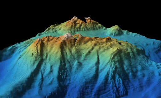 Foto - Denizin 2 bin 400 metre altından çıktı! Olağandışı keşif dünyayı şoka soktu