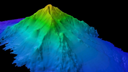 Denizin 2 bin 400 metre altından çıktı! Olağandışı keşif dünyayı şoka soktu