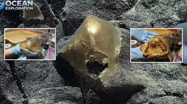 Denizin altında keşfedilen 'altın nesne' heyecanlandırdı! Araştırmacılar şaşkınlıklarını gizleyemedi