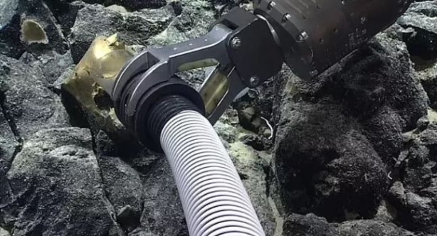 Foto - Denizin altında keşfedilen 'altın nesne' heyecanlandırdı! Araştırmacılar şaşkınlıklarını gizleyemedi