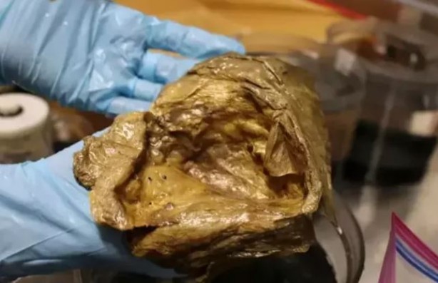 Foto - Denizin altında keşfedilen 'altın nesne' heyecanlandırdı! Araştırmacılar şaşkınlıklarını gizleyemedi