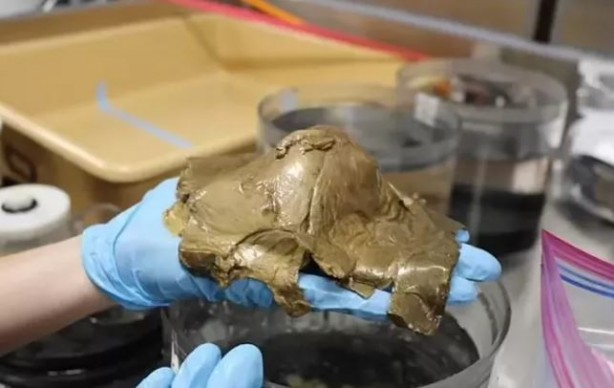 Foto - Denizin altında keşfedilen 'altın nesne' heyecanlandırdı! Araştırmacılar şaşkınlıklarını gizleyemedi