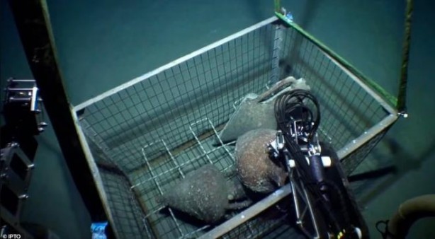 Foto - Denizin binlerce metre derinliğinde bulundu! Bakın içinden ne çıktı