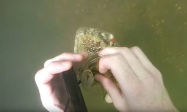 Foto - Denizin dibinde buldukları kutudan çıkanlar çok şaşırttı!