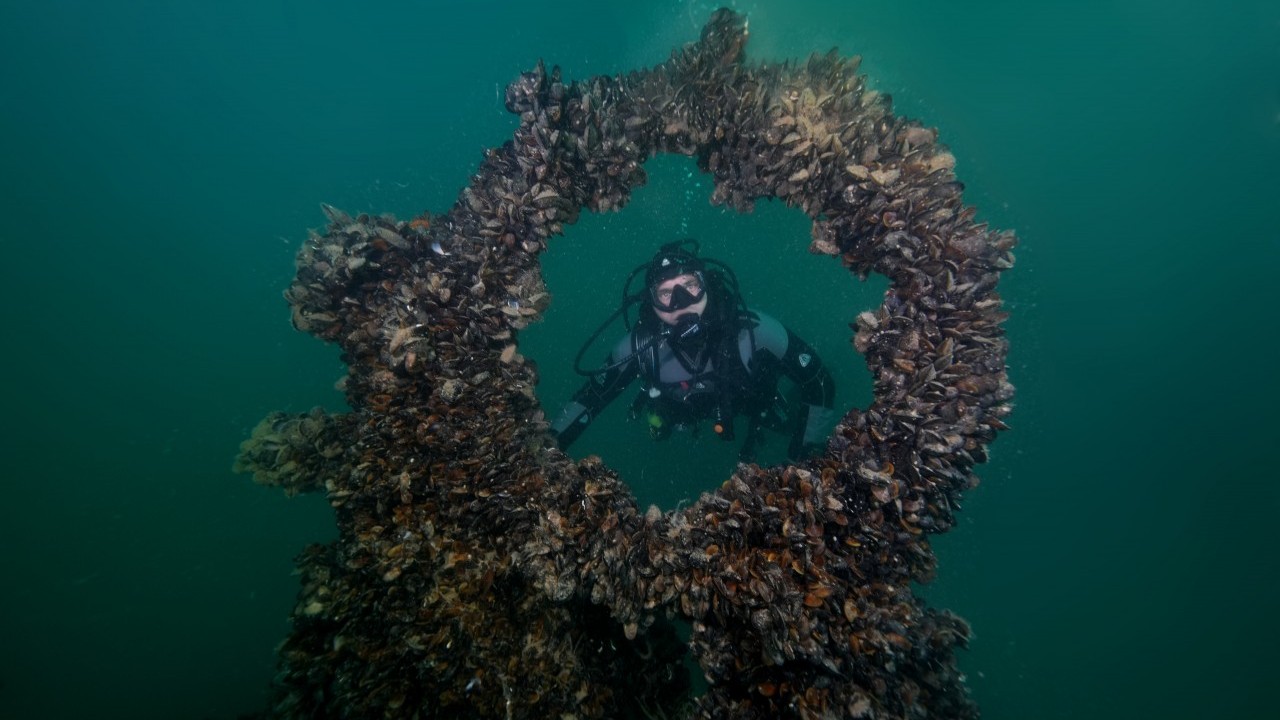 Foto - Denizin dibinde sessiz tanıklık! Karadeniz’de batırılan Nazi denizaltılarından görüntüler… 