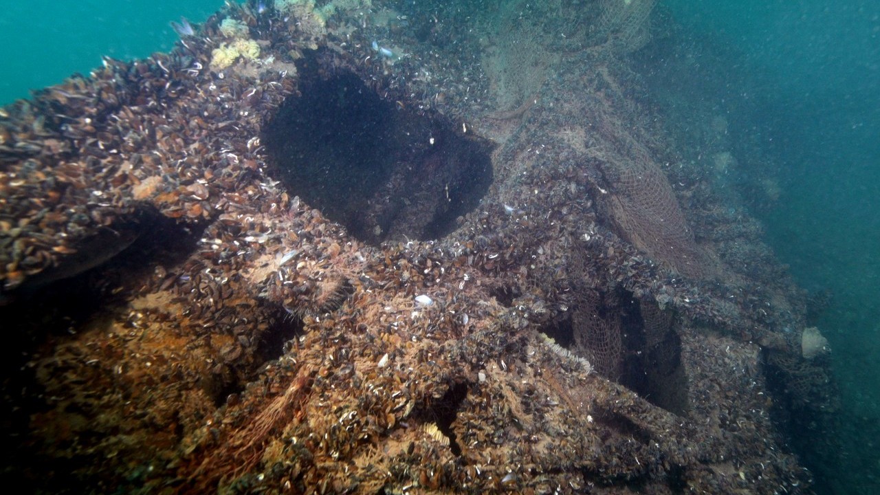 Foto - Denizin dibinde sessiz tanıklık! Karadeniz’de batırılan Nazi denizaltılarından görüntüler… 