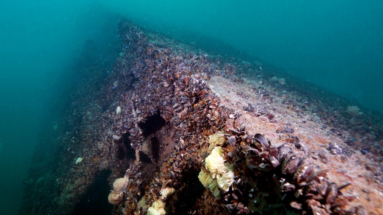Foto - Denizin dibinde sessiz tanıklık! Karadeniz’de batırılan Nazi denizaltılarından görüntüler… 
