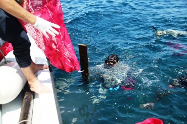 Foto - Denizin dibinden çıkanlar görenleri şok etti!