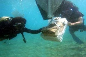 Foto - Denizin dibine dalıp çok büyük bir altın hazinesi buldular! Herkes yaşananlar karşısında şaşkına döndü