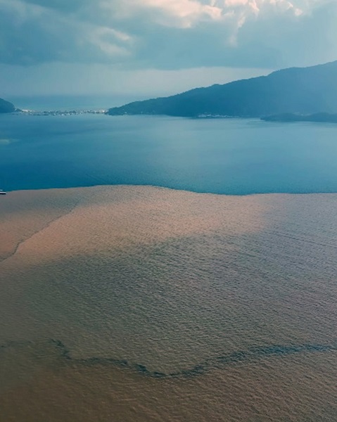 Foto - Denizin rengi bu hale döndü! Objektiflere yansıyan görüntü şaşırttı