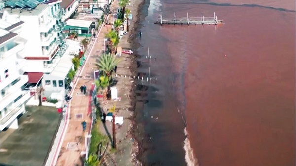 Foto - Denizin rengi bu hale döndü! Objektiflere yansıyan görüntü şaşırttı